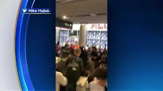 SEE IT: Brawl Breaks Out At Miami International Airport