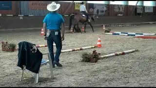 DQHA Midsummer Classics & Futurity Mitte  Walk Trott Teil 1