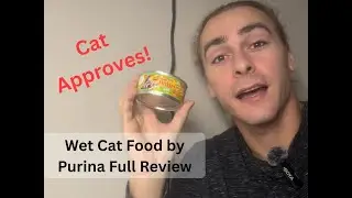 Liver & Chicken Wet Cat Food Review - Watch Before Buying!
