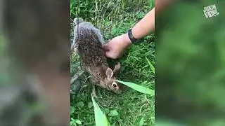 I 100 video migliori si diffondono bene e sono interessanti #5