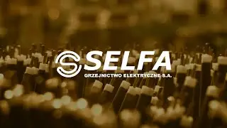 Impuls EVO w Selfa GE SA