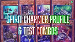 Yu-Gi-Oh! BUDGET Spirit Charmer Deck Profile $100 or LESS + Test Combos