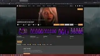 Dragon Age the Veilguard - All things Library Mod & Bundles