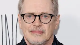 All The Details On Steve Buscemi&rsquo;s NYC Attack