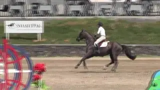 Esconial 1. 40m Enviro Equine Jumper
