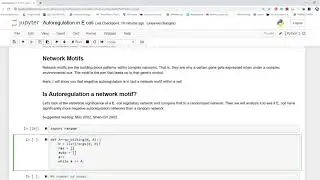 Autoregulation Genetic Network Motif Statistical Proof with Python