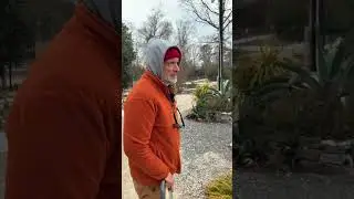 Snow tour of the Juniper Level Botanic Garden #raleighnc #botanicgarden