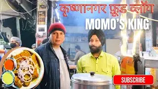 Best Momo in Delhi + Juicy momo | Momos king |कृष्णानगर फ़ूड व्लॉग | Delhi street food |