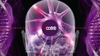 Psaphyre - Cortex (Interface Audio)