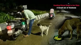 Feeding Street Dogs in the Rain | A Small Act of Kindness 🐾🌧️