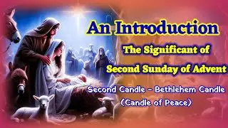 Second Week of Advent  // Candle of Peace ( Bethlehem Candle) Introduction of Mass