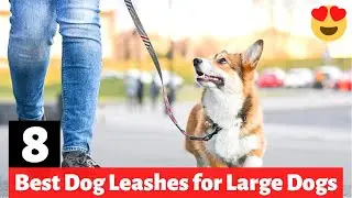 8 Best Dog Leashes for Large Dog Breeds
