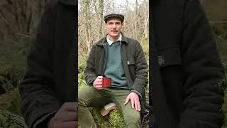 Teatime With Tom - Primrose