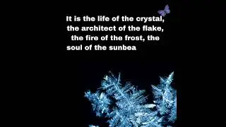 The Crisp Winter Air ❤️❄️  #winterquote #winter #quote