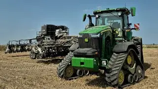 JOHN DEERE 8RX 410 STRIPCAT AGRISEM SLY SIEW RZEPAKU 2024
