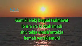 mizmor le david.mp4