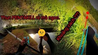 [N&aacute; cao su] Săn buổi chiều một m&igrave;nh dư mồi...Afternoon hunting with bait. Hunter slingshot VN 🇻🇳.