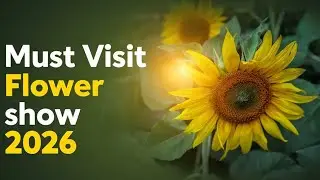 Experience the Magic: Lalabagh's Stunning Flower Show/ must visit 