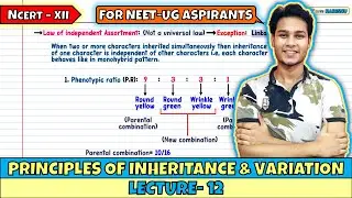Принципы наследования и изменчивости | Лекция 12 | NEET 2026