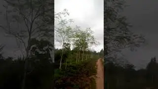 Buy acres of land for 300k ,location :ido after Ibadan city polytechnic ,more details :08166414466