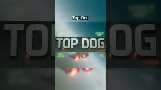 Top Dog : Arcade Flight Sim Roguelike Chaos