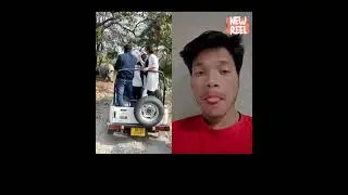 danger animal🦏🦏🥹/danger mount/ #youtubeshorts #shortvideo #viral