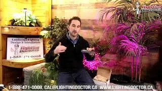 How to Install Landscape Lighting - Hardscape Lighting Tips