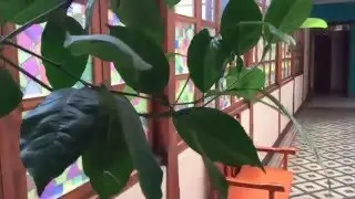 SOLERA HOUSE HOSTEL, QUITO ECUADOR