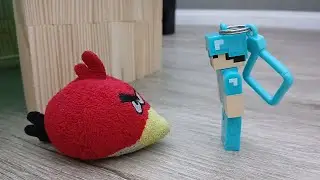 Утро со Стивом и Красной Птицей