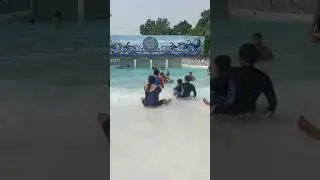 urban wave