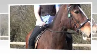 Farm, Equestrian, Timber & Fencing Supplies In Caerphilly, South Wales - Three Counties Agriculture