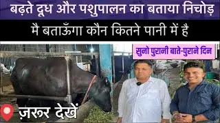 भैसों का बढ़ता #दूध और पशुपालन का सारा #निचोड़ बताया #नरेंद्र सैक्ट्री जी ने 👍ज़रूर देखें🎖