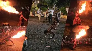 Shree murlidhar farm and resort | african dance |sasan gir | menderda | murlidhar farm #sasangir