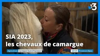 SIA 2023 : les chevaux camarguais à Paris