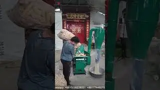 High efficiency grinding corn stalks animal feed hammer mill#hammermill #feedmill #animalfeeds