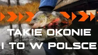 ZIMOWE OKONIE |JIG-RIG|TWITCH