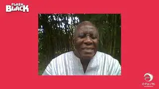 Opal22's Flash Black - Akyaaba Addai Sebo, Founder of Black History Season in the UK
