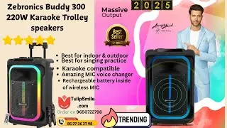Zebronics Zeb Buddy 300 | 220W DJ Karaoke Trolley Speaker | 15