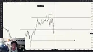 Road to 100k/Month Me: Challenge Day 10 ( Making +$450 )