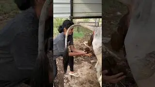 Natural Farming Begins | vaaradhifarms.com