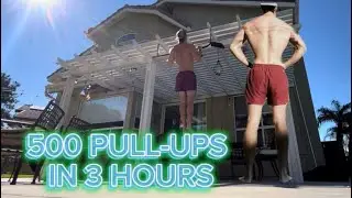 500 PULL-UPS ATTEMPT IN 3 HOURS!!