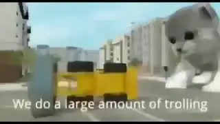 We do a little trolling cat