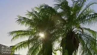 iPhone 16 Pro Cinematic Sunset Test | ProRes LOG Dynamic Range in 4K