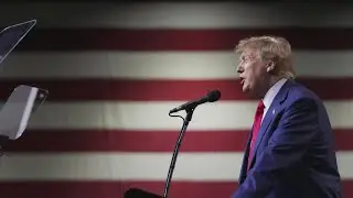 Trump immunity claim rejected by appeals court in 2020 election case