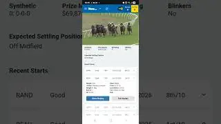 Best 5 Of The Day &ndash; Saturday | Ratings Edge, Value Plays & Race Breakdown