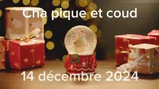 Vlogmas 14 décembre 2024