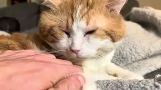 Dirty peetsies