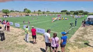 24 Maio 2025 - Agility - Grau 1
