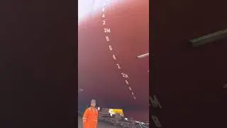 How Deep is a Ship in Water? | Understanding Draft Marks Easily 🚢