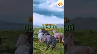 МУДРОСТЬ УЧИТЕЛЯ: ПРОВЕРКА ВЕРЫ.